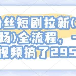 零粉丝河马剧场短剧拉新实操全流程 单视频变现2954方法分享-雨叶虚拟资源网