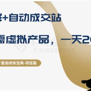 微信群搭配自动成交站操作刚需虚拟产品 日入200+项目拆解-雨叶虚拟资源网