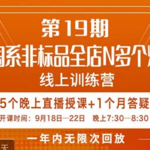 淘系非标品全店多爆款打造5天直播课 运营实操全流程教学-雨叶虚拟资源网