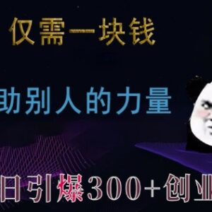 2024低成本引流方法 1元借力单日获取300+精准创业粉兼职粉-雨叶虚拟资源网