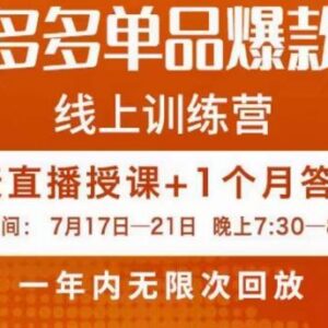 钟辰拼多多单品爆款班教程 5天学会打造超级爆款养活团队-雨叶虚拟资源网