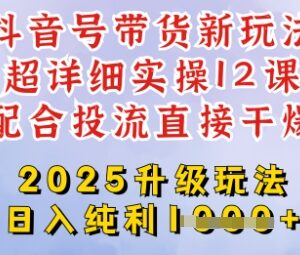 2025全新升级抖音带货玩法 选品剪辑投流全流程实操教程-雨叶虚拟资源网