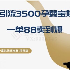 2个月引流3500精准孕婴宝妈 单客88元高转化项目实操拆解-雨叶虚拟资源网