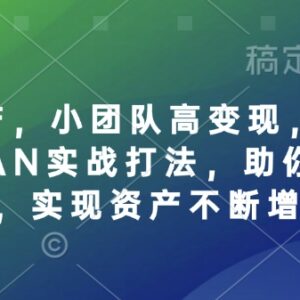 个人IP打造全链路实战教程 小团队低成本运营实现高变现增值-雨叶虚拟资源网