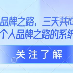 AI个人品牌系统构建教学课 三天共10小时课程资源分享-雨叶虚拟资源网
