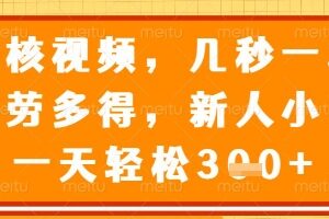 正规视频审核兼职项目详解 几秒一单多劳多得新手易上手-雨叶虚拟资源网