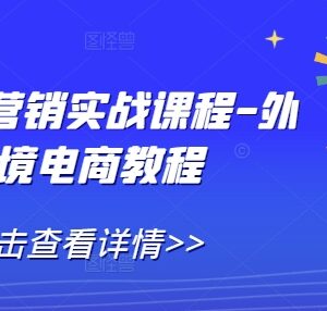 外贸全网营销实战课程 跨境电商建站获客运营全流程教程-雨叶虚拟资源网