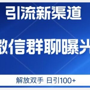 2024高价值全新微信引流技术揭秘 私域高效获客方法分享-雨叶虚拟资源网