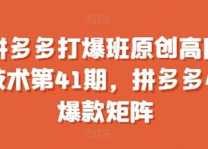 拼多多打爆班第41期高阶运营教程 小爆款矩阵搭建实操方法-雨叶虚拟资源网