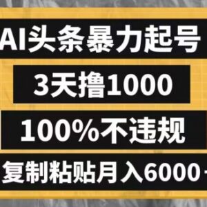 AI头条3天合规起号教程 低门槛零违规副业月入6000方法-雨叶虚拟资源网