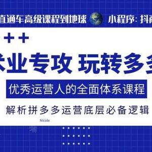 2024拼多多运营全体系课程 解析底层逻辑及全链路实操玩法-雨叶虚拟资源网