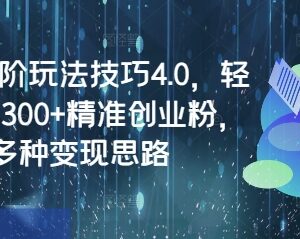 闲鱼高阶玩法4.0实操教程 日引300+精准创业粉附多种变现思路-雨叶虚拟资源网