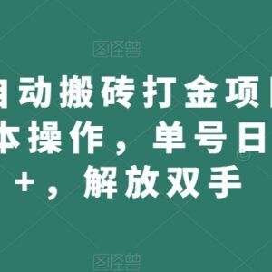 魔兽世界WOW自动搬砖打金项目 全自动脚本玩法及收益解析-雨叶虚拟资源网