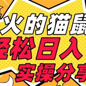 新手可操作猫鼠游戏日入1K实操教程 附配套引流软件及项目素材-雨叶虚拟资源网