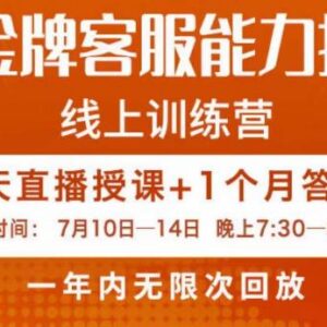 电商金牌客服能力提升班课程大纲 助力商家提高店铺经营业绩-雨叶虚拟资源网