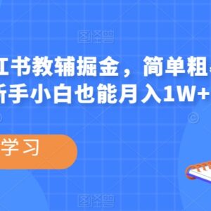 小红书教辅掘金项目实操指南 新手无需剪辑低门槛可落地增收-雨叶虚拟资源网