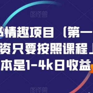 小红书情趣类目零投资分销项目玩法 附两版完整实操教程-雨叶虚拟资源网