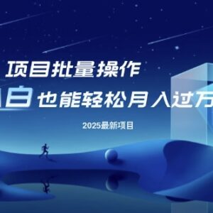 2025年最新AI批量操作副业项目揭秘 小白易上手可无限放大-雨叶虚拟资源网