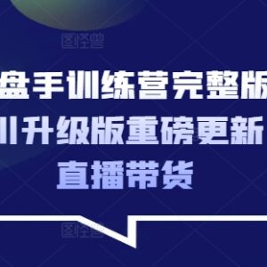 2025升级版千川操盘手训练营 掌握直播带货投放全流程技巧-雨叶虚拟资源网