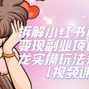 小红书真人漫改变现副业攻略 新手可做的全流程实操拆解-雨叶虚拟资源网