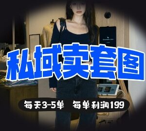 私域售卖套图完整落地实操教程 每天3-5单每单利润99元-雨叶虚拟资源网