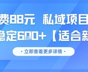 适合新手的私域副业新玩法 单客收费88元日均稳定营收600+-雨叶虚拟资源网