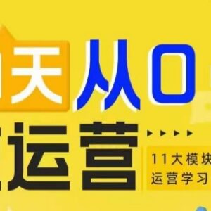 21天从0到1入门电商运营 11大维度搭建运营基础学习体系-雨叶虚拟资源网