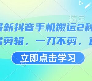 2025年3月抖音手机搬运实用方法 无需剪辑可过抖+的两种技巧-雨叶虚拟资源网
