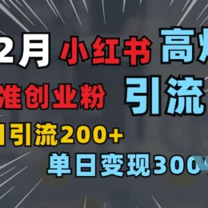 小红书单图引流精准创业粉教程 单日获200+可筛选付费意向用户-雨叶虚拟资源网