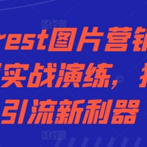 Pinterest图片营销实操攻略 独立站跨境引流新渠道玩法详解-雨叶虚拟资源网