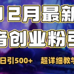 2024年12月抖音日引500+创业粉 规避风控情感引流实操教程-雨叶虚拟资源网