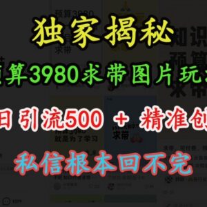 小红书求带类图片引流玩法 单条笔记日引500+精准创业粉教程-雨叶虚拟资源网