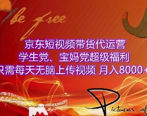 京东短视频带货代运营玩法详解 无粉丝适合学生宝妈的低门槛副业-雨叶虚拟资源网