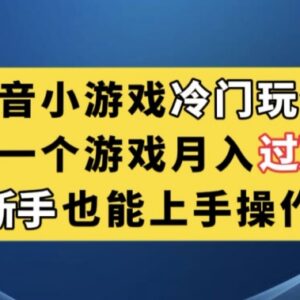 抖音小游戏冷门玩法拆解 新手可上手的低门槛盈利副业项目-雨叶虚拟资源网