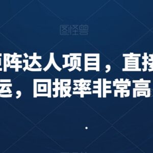 小红书矩阵达人搬运项目实操教程 含养号剪辑涨粉全流程技巧-雨叶虚拟资源网
