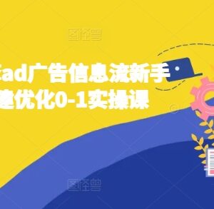 2024巨量引擎AD信息流新手账户搭建优化0-1系统实操课-雨叶虚拟资源网