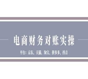 京东天猫淘宝拼多多抖音全平台电商财务对账实操教程-雨叶虚拟资源网
