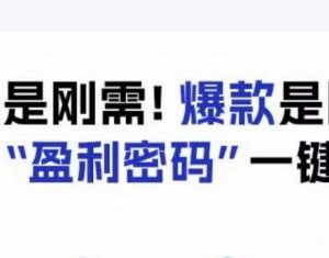 电商盈利精品实操课 掌握流量选品爆品逻辑提升店铺营收-雨叶虚拟资源网