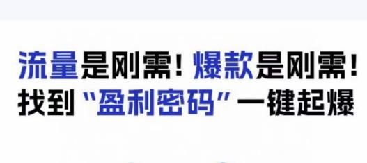 电商盈利精品实操课 掌握流量选品爆品逻辑提升店铺营收