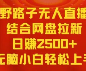 无人直播结合网盘拉新实操玩法 小白易上手低门槛副业教程-雨叶虚拟资源网