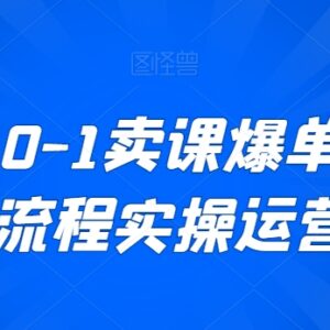 新手0基础卖课直播全流程实操 从搭建到爆单运营指南-雨叶虚拟资源网