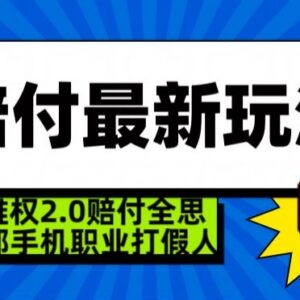 2024超级维权2.0玩法揭秘 职业打假赔付全思路单手机即可操作-雨叶虚拟资源网