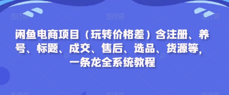 闲鱼电商从0到1实操教程 选品运营售后全环节玩法详解
