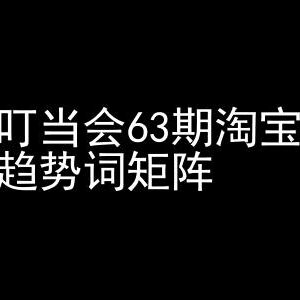 淘宝天猫打爆班第63期高阶教程 趋势词矩阵技术及实操玩法-雨叶虚拟资源网