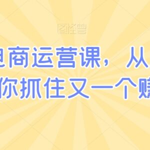 小红书电商运营从入门到精通 全流程实操教程干货合集-雨叶虚拟资源网