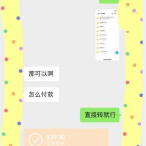 小红书虚拟资源副业实操指南 新手零门槛一部手机即可运营-雨叶虚拟资源网
