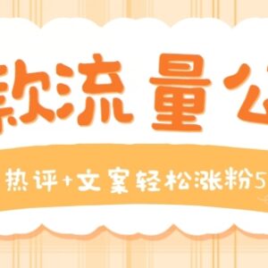 抖音网易热评文案号运营教程 低门槛操作轻松实现快速涨粉-雨叶虚拟资源网