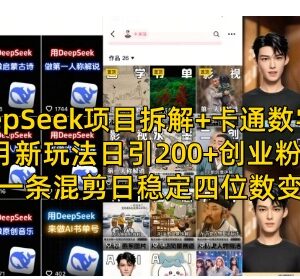 DeepSeek结合卡通数字人新玩法拆解 引流创业粉稳定变现实操教程-雨叶虚拟资源网