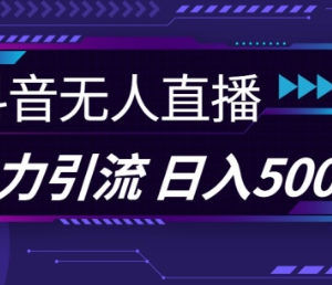 抖音快手视频号通用无人直播 创业粉引流实操完整教程-雨叶虚拟资源网