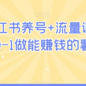 2024小红书养号流量运营课程 手把手教你从0到1做盈利薯店-雨叶虚拟资源网